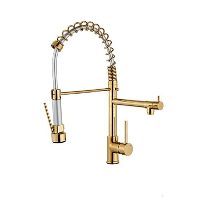 Brass Pull Spring Kitchen Faucet Pull Out Multi Function Faucet High-Pressure Double Water Household Kitchen Faucets Rotatable